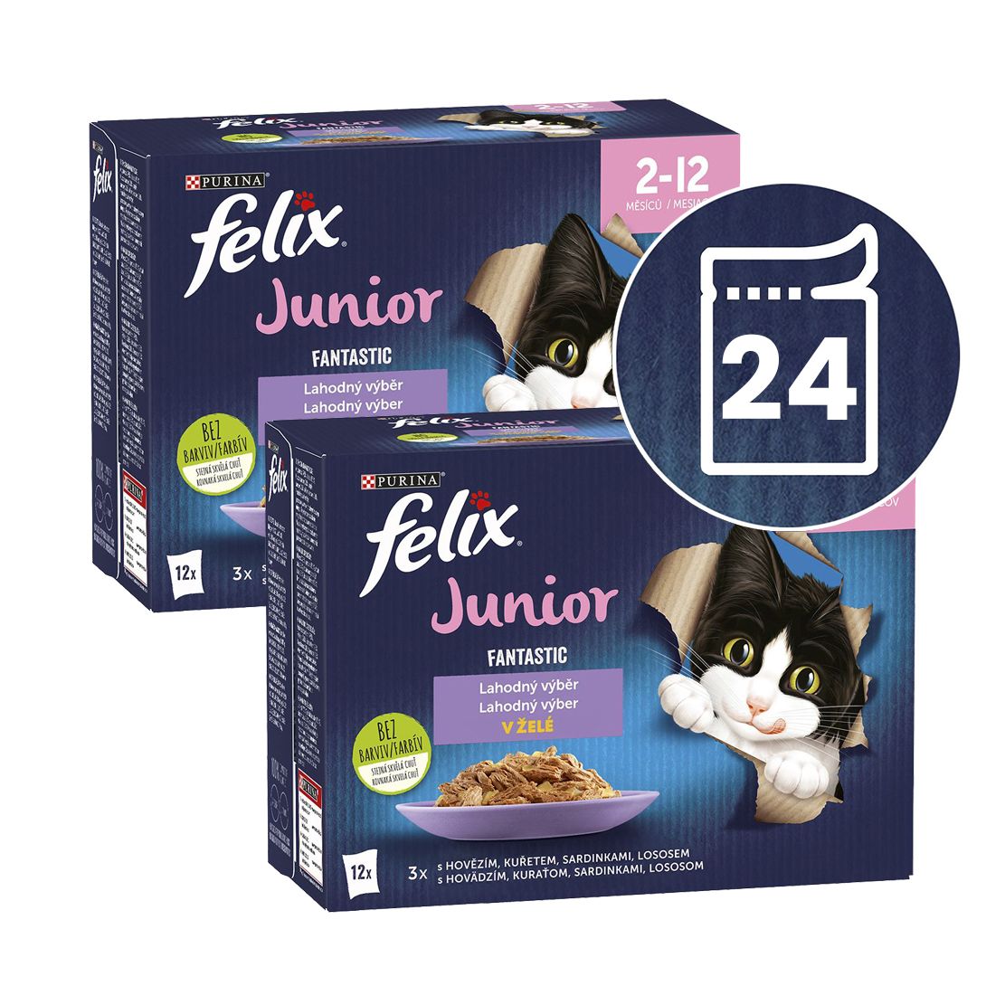 Felix Fantastic Junior ukusni izbor 24 x 85 g