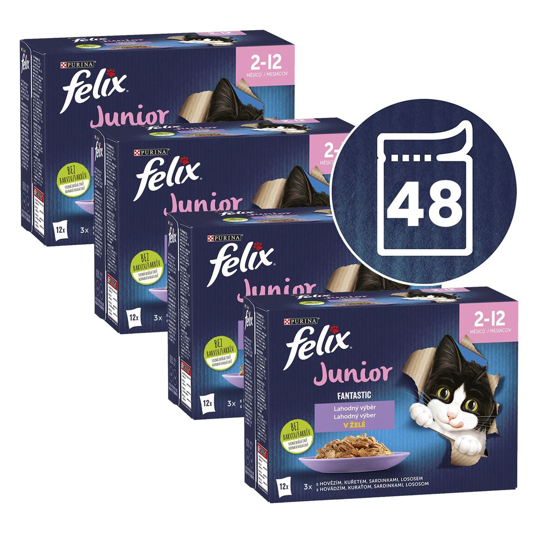 Felix Fantastic Junior ukusni izbor 48 x 85 g