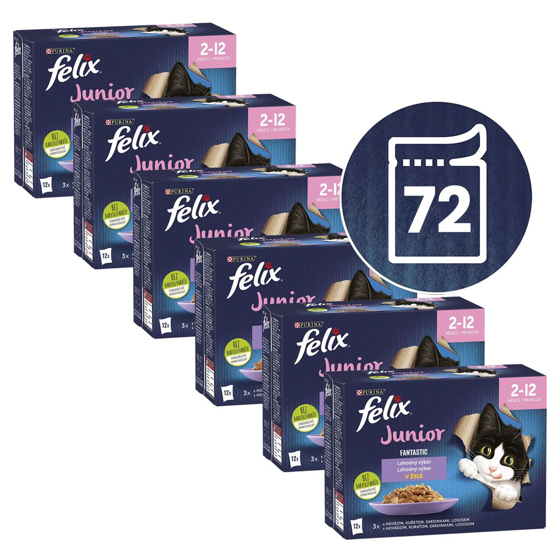 Felix Fantastic Junior ukusni izbor 72 x 85 g