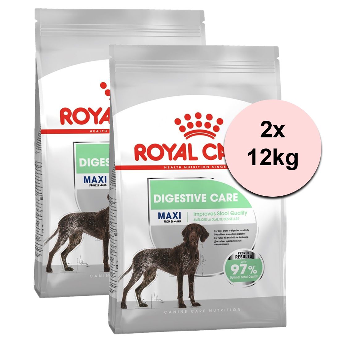 Royal Canin Maxi Digestive Care suho krmivo za velike pse s osjetljivim probavnim sustavom 2 x 12 kg