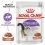 Royal Canin Sterilised Gravy konzerva za sterilizirane mačke u umaku 24 x 85 g