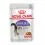 Royal Canin Sterilised Gravy konzerva za sterilizirane mačke u umaku 24 x 85 g