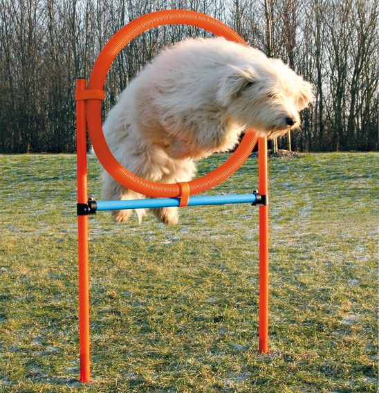 Agility prepreka za pse, krug 115x65cm