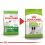 ROYAL CANIN X-Small Adult 8+ suho krmivo za odrasle starije vrlo male pse 1,5 kg