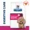 Hill's Prescription Diet Gastrointestinal Biome Mini Njega probave 1 kg