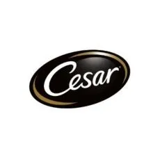 CESAR