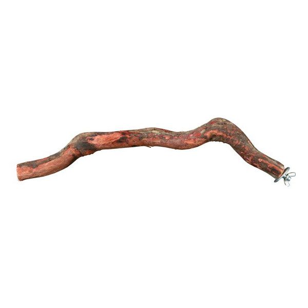 Stablo za kavez za kanarince i korele - 25 cm