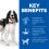 Hill's Science Plan Canine Adult Medium Piletina 2 x 14 kg
