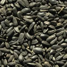 Crni suncokret 1 kg