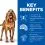 Hill's Science Plan Canine Mature Adult Light 7+ Piletina 2 x 14 kg