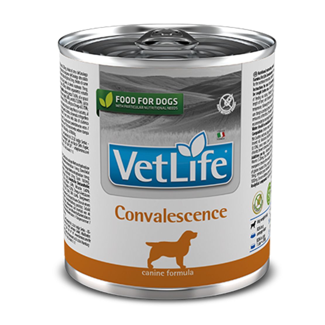 Farmina Vet Life Convalescence Canine 300 g