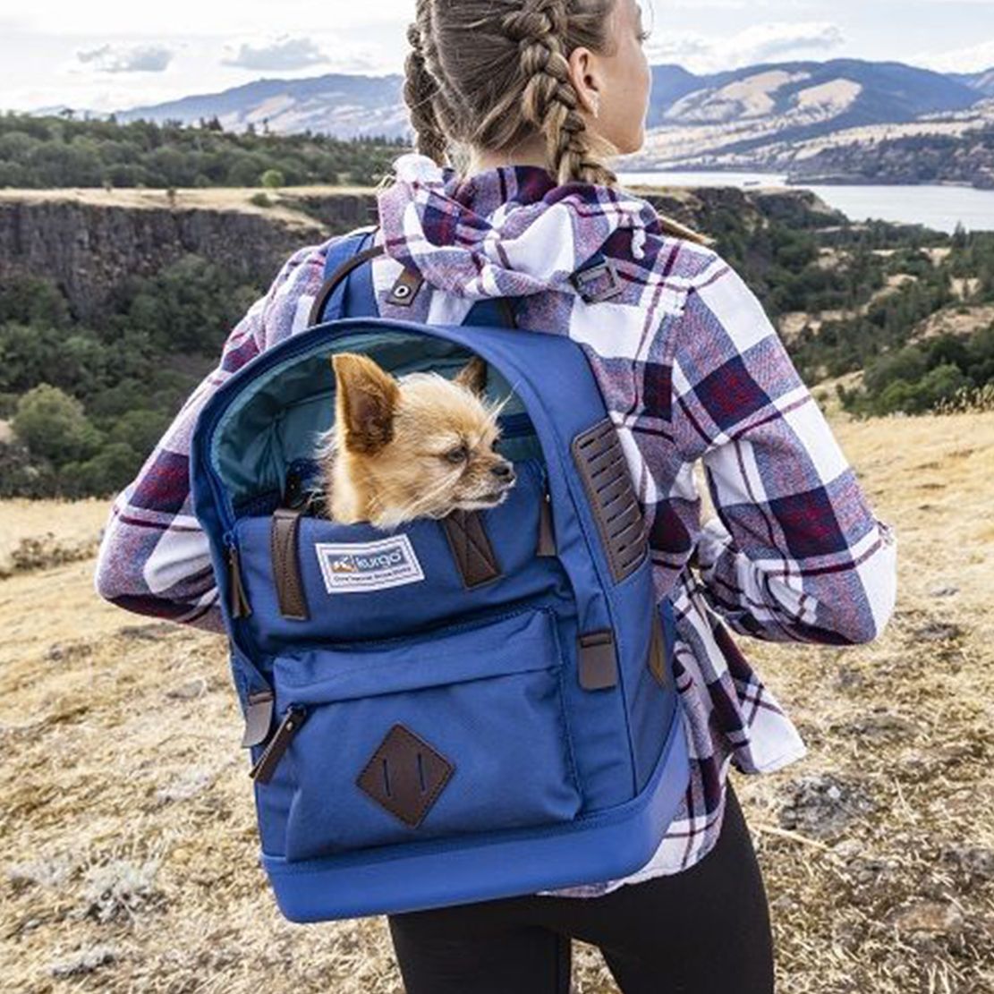 Ruksak za psa Kurgo Nomad Carrier Backpack - plavi