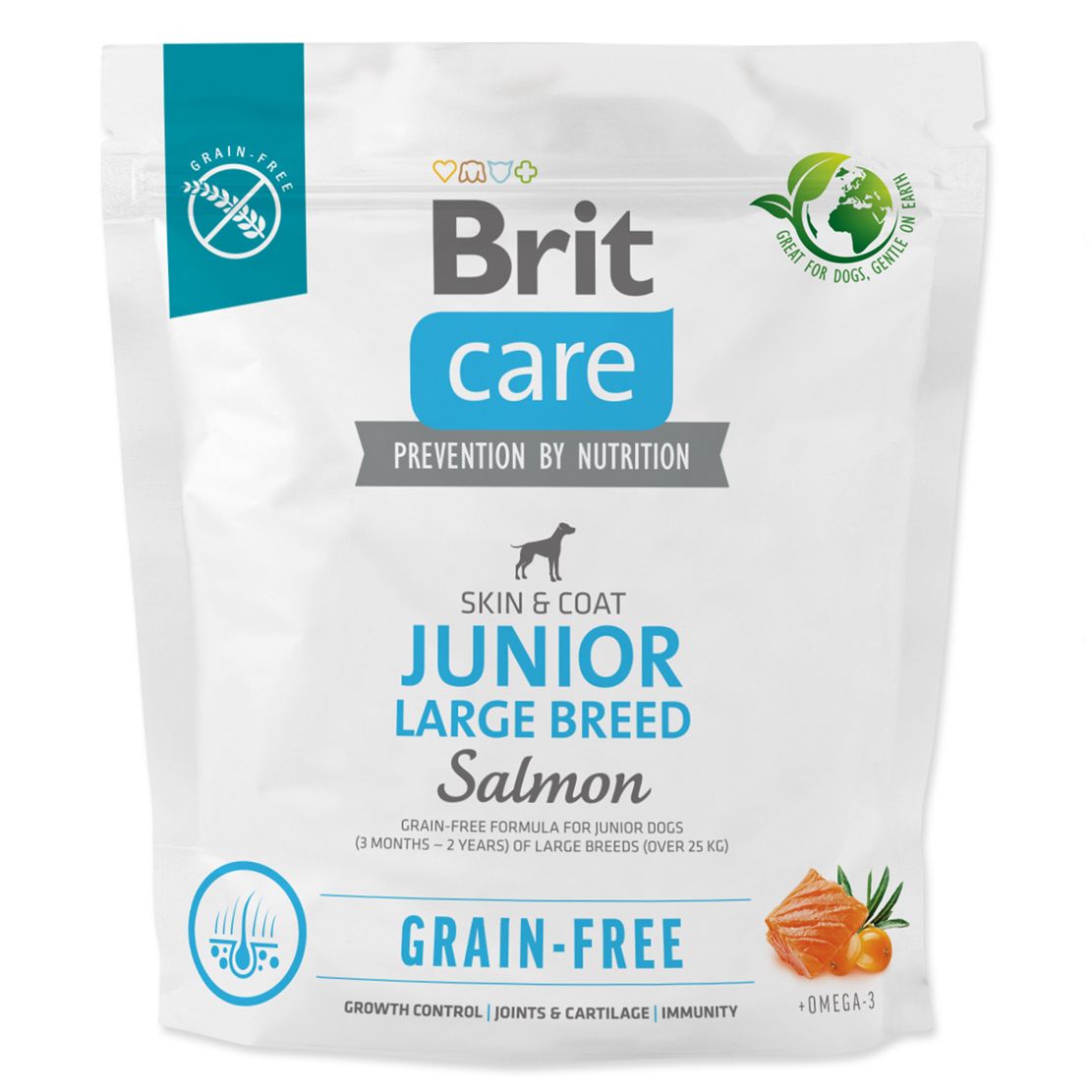 Brit Care Dog Grain-free Junior Large Breed Salmon & Potato 1 kg