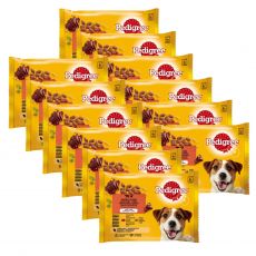 Pedigree Mješoviti izbor u želeu 12 x (4 x 100 g)