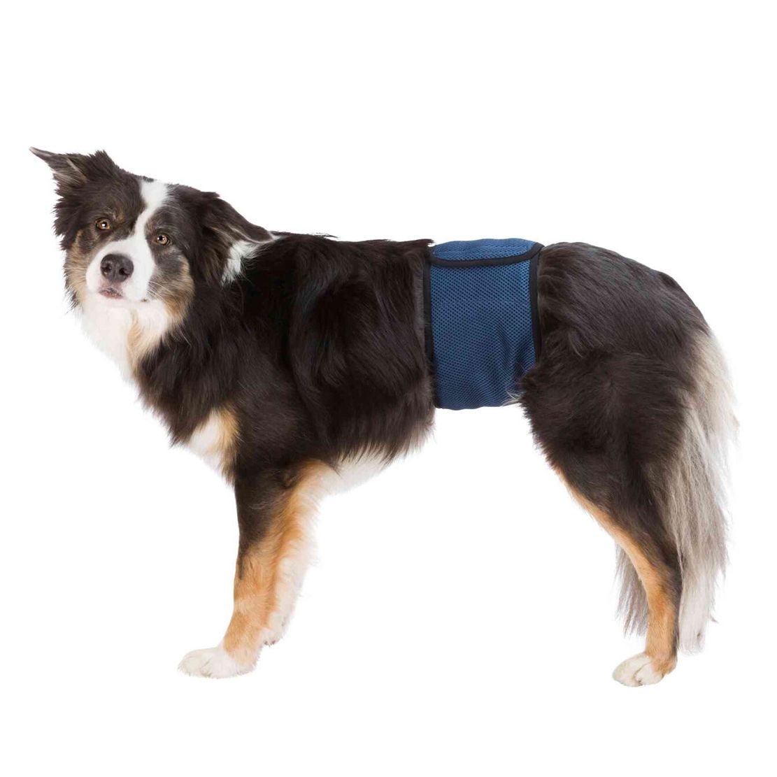 Trixie trbušni pojas - pelena za psa S-M 37-45 cm