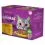 Whiskas vrećica Pileći izbor u umaku 12 x 85 g
