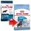 Royal Canin Maxi Puppy suho krmivo za &scaron;tenad velikih pasmina 15 kg + 10 vrećica GRATIS