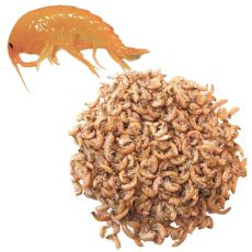 Sušeni gammarus 1000ml
