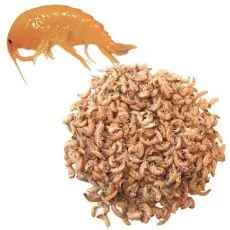 Su&scaron;eni gammarus 1000ml