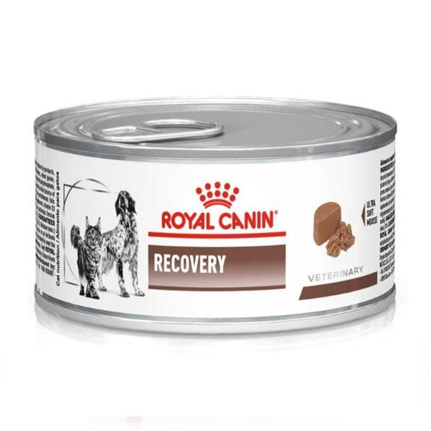 Royal Canin Veterinary Diet Recovery Feline/Canine Can 195 g
