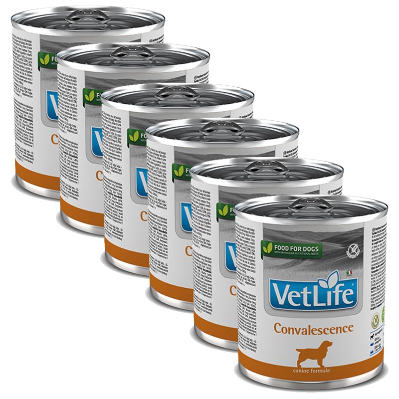 Farmina Vet Life Convalescence Canine 6 x 300 g