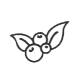 4.png
