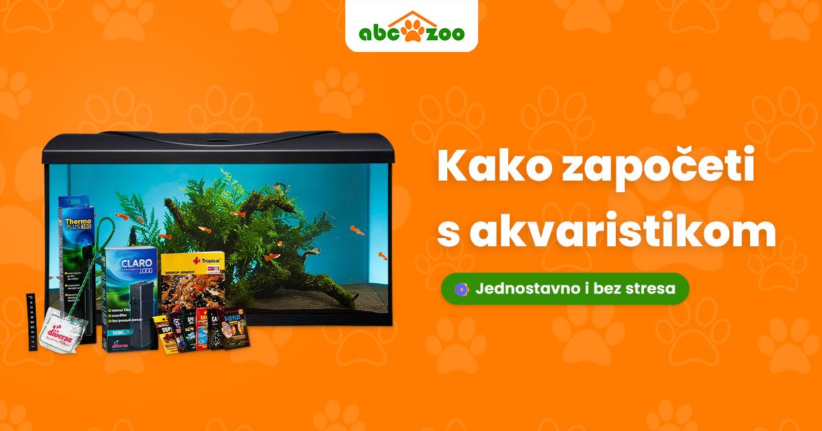 Akvarijski setovi: Idealan izbor za početnike Akvarijski setovi: Idealan izbor za početnike