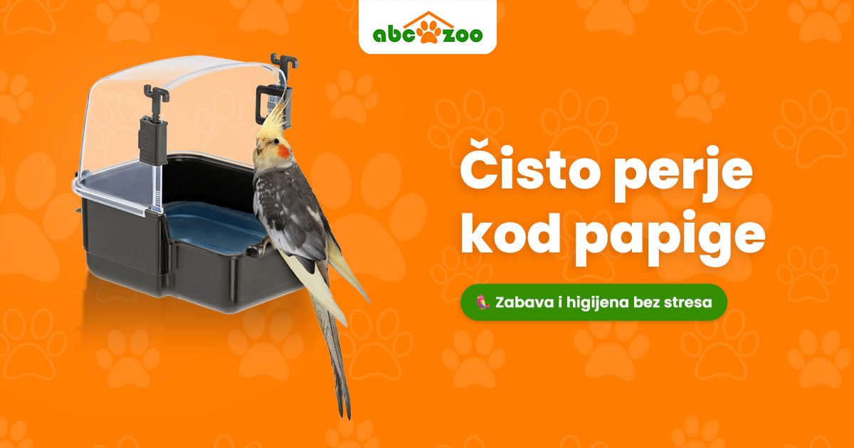 Kako pravilno kupati papigu bez stresa? 4 jednostavna i provjerena načina Kako pravilno kupati papigu bez stresa? 4 jednostavna i provjerena načina