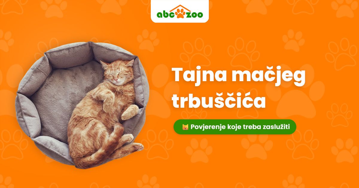 Osnovni znak povjerenja va&scaron;e mačke: Na &scaron;to obratiti pozornost?