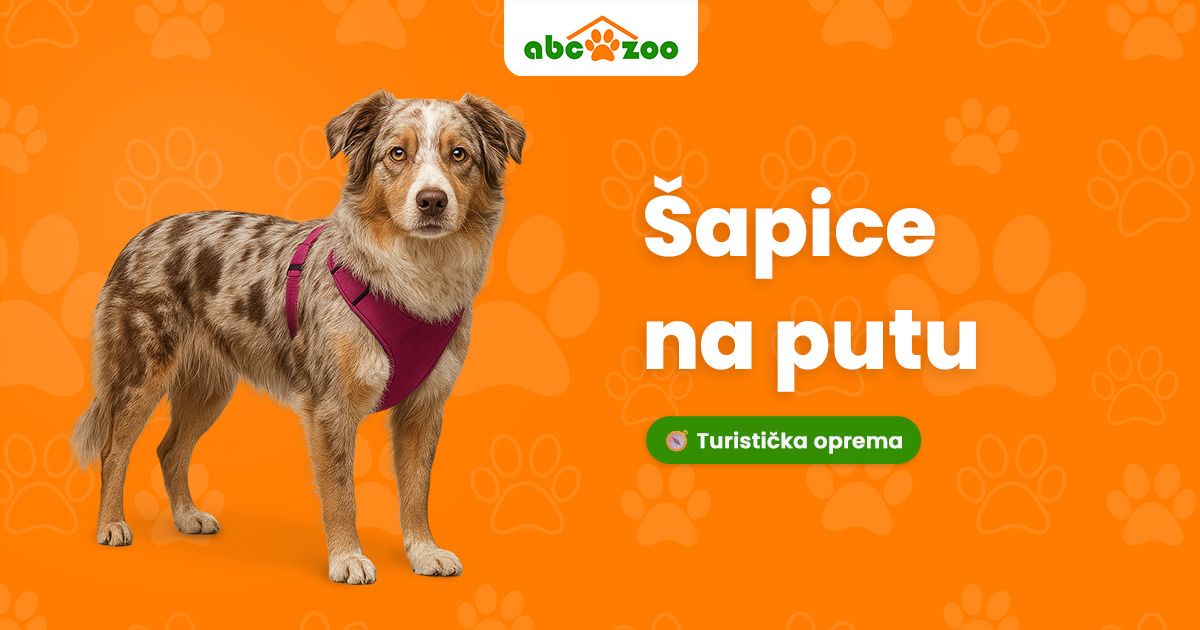 Što ne zaboravljam na izletu sa psom