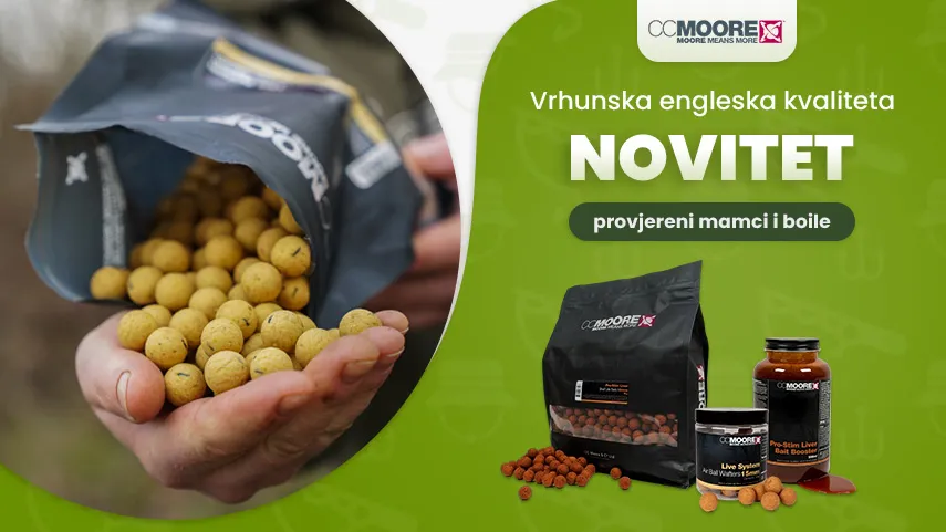 Novitet CC MOORE