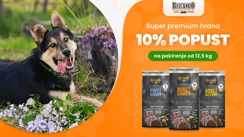 Belcando - 10% popusta