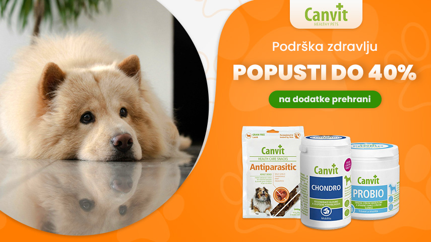Canvit - popust do 40%