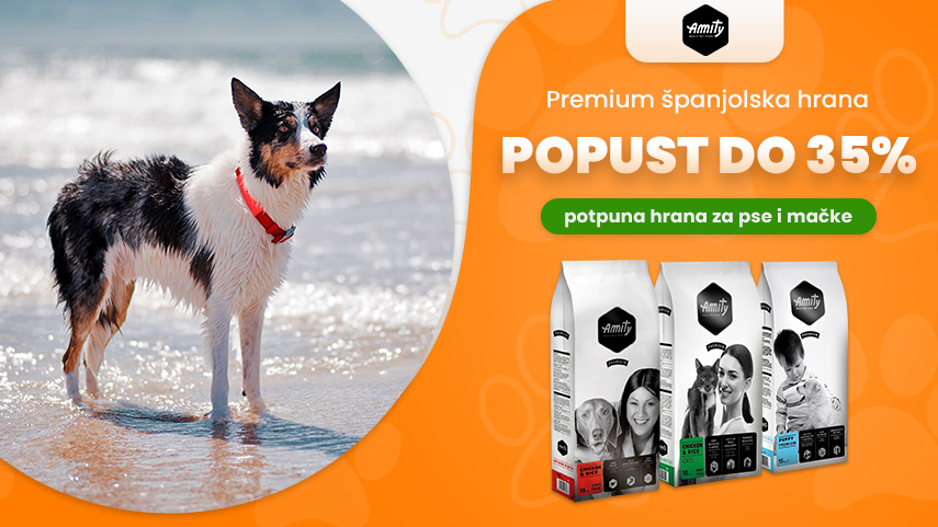 Amity - popust do 35%