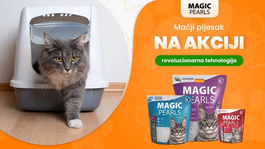 Magic Pearls akcija