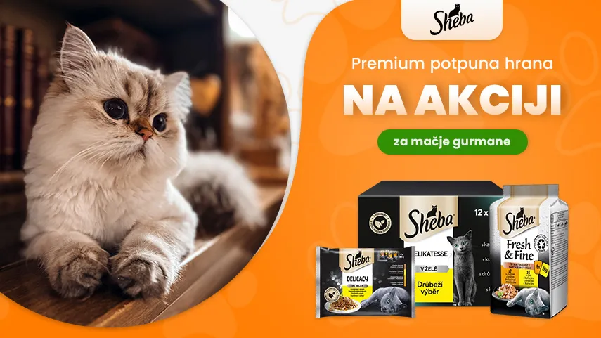 Sheba na akciji