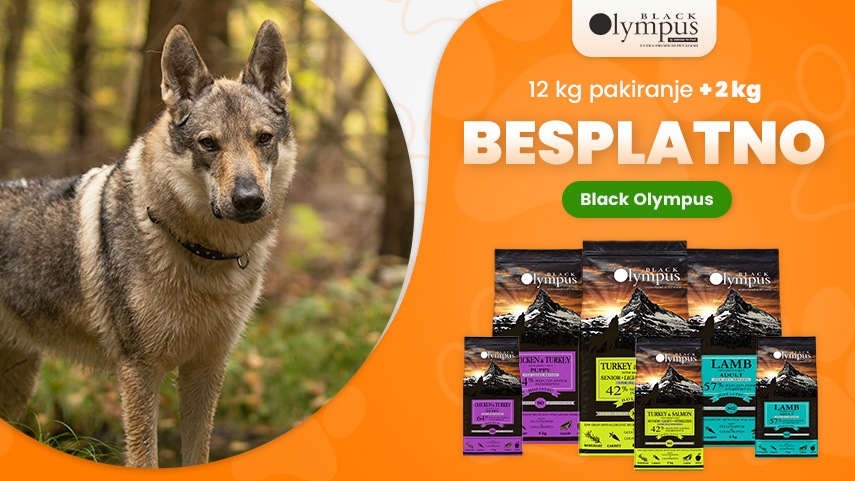 Black Olympus 12+2 kg gratis