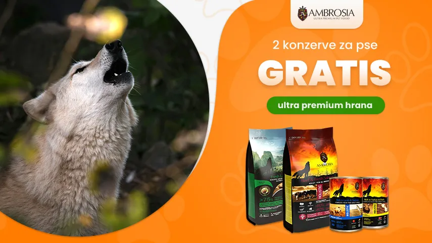 Ambrosia 2 konzerve besplatno